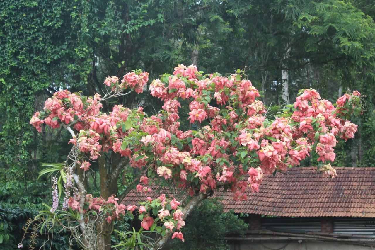 Whistling Woods Farm Stay Kushālnagar Exterior foto